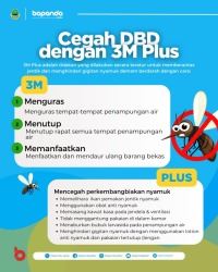cegah-dbd-dengan-3-m