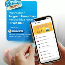 manfaatkan-program-pemutihan-bisa-lewat-hp-kok