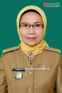 Dra. Nanik Suprapti, M.M