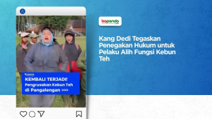 Kang Dedi Tegaskan Penegakan Hukum untuk Pelaku Alih Fungsi Kebun Teh